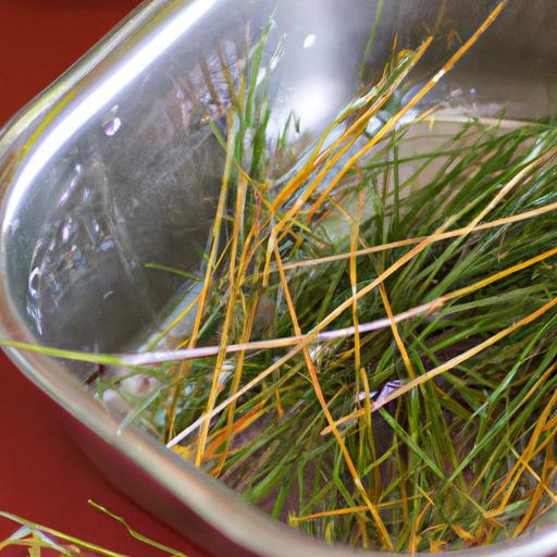 Properly selecting and preparing pine needles is crucial for a delicious and healthy soda.