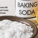 Does Baking Soda Kill Bed Bugs? 5 Best Facts You Should Know