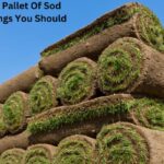 How Much Does A Pallet Of Sod Weigh? 3 Best Things You Should Know