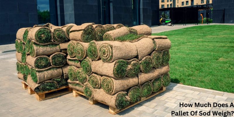 How Much Does A Pallet Of Sod Weigh?