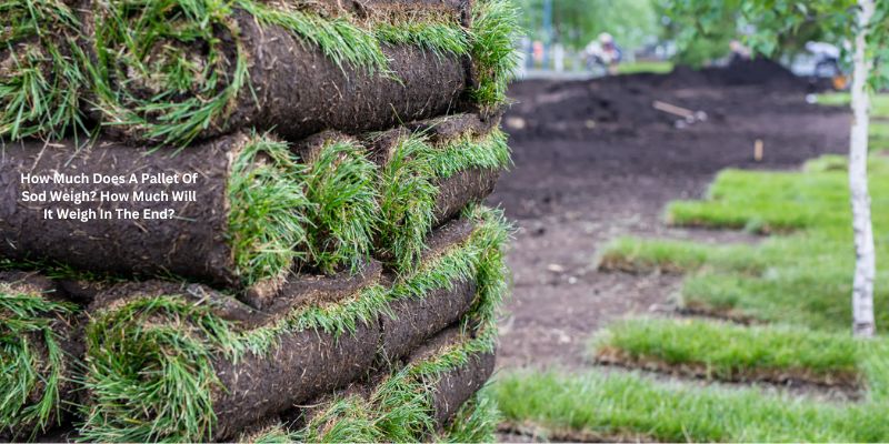 How Much Does A Pallet Of Sod Weigh? How Much Will It Weigh In The End?