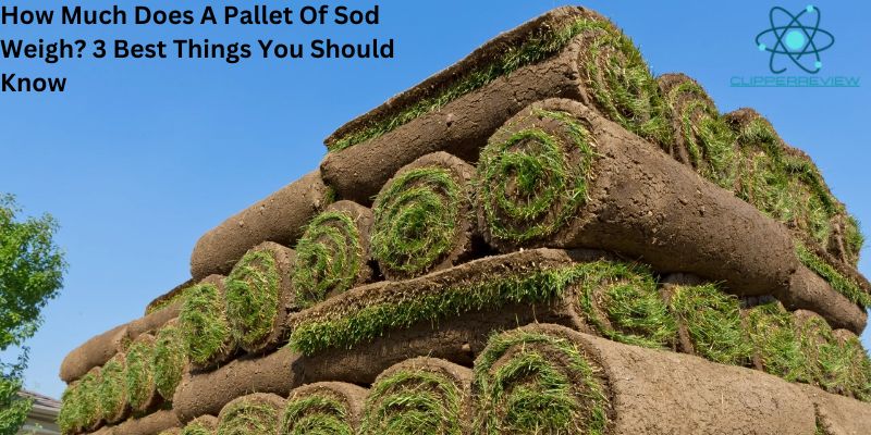 How Much Does A Pallet Of Sod Weigh? 3 Best Things You Should Know