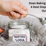 Does Baking Soda Kill Fleas? 4 Best Steps For Effective Outcome