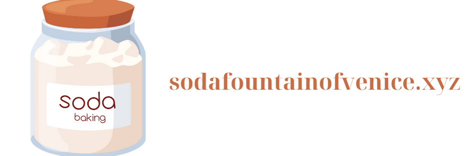 sodafountainofvenice.com